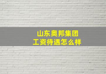 山东奥邦集团工资待遇怎么样