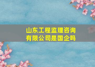 山东工程监理咨询有限公司是国企吗