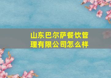 山东巴尔萨餐饮管理有限公司怎么样