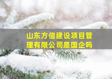 山东方信建设项目管理有限公司是国企吗