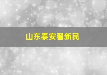 山东泰安翟新民