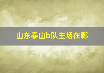 山东泰山b队主场在哪