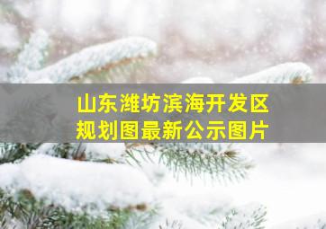 山东潍坊滨海开发区规划图最新公示图片