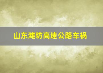 山东潍坊高速公路车祸