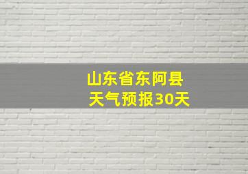 山东省东阿县天气预报30天