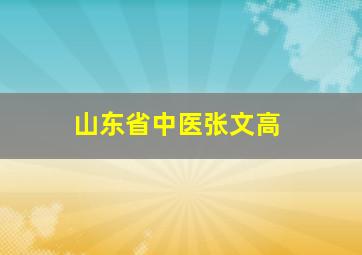 山东省中医张文高