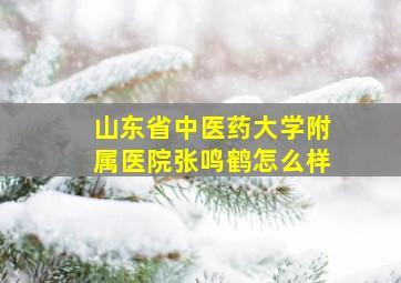 山东省中医药大学附属医院张鸣鹤怎么样