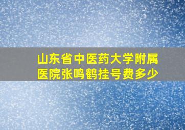 山东省中医药大学附属医院张鸣鹤挂号费多少