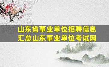 山东省事业单位招聘信息汇总山东事业单位考试网