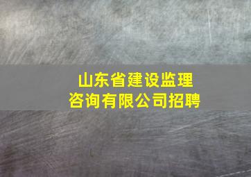 山东省建设监理咨询有限公司招聘