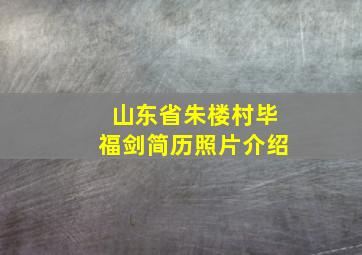 山东省朱楼村毕福剑简历照片介绍