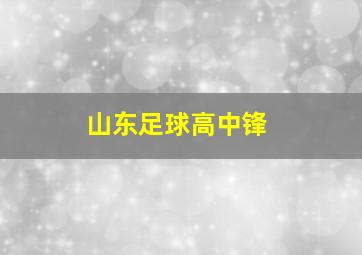 山东足球高中锋