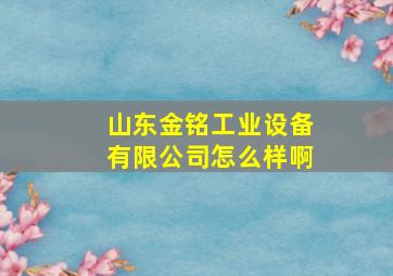 山东金铭工业设备有限公司怎么样啊