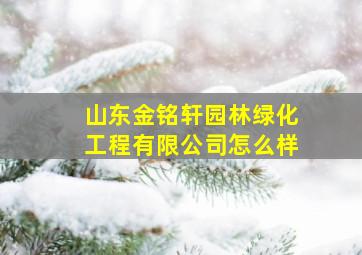 山东金铭轩园林绿化工程有限公司怎么样