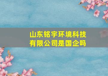 山东铭宇环境科技有限公司是国企吗