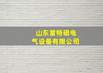 山东雷特磁电气设备有限公司