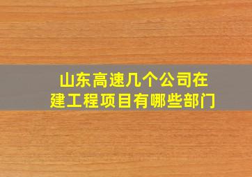 山东高速几个公司在建工程项目有哪些部门