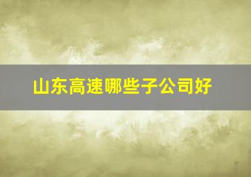 山东高速哪些子公司好