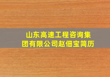 山东高速工程咨询集团有限公司赵佃宝简历