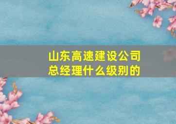 山东高速建设公司总经理什么级别的