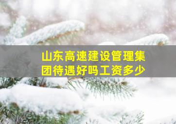 山东高速建设管理集团待遇好吗工资多少