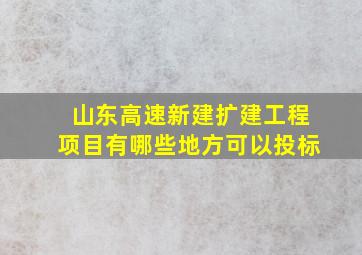 山东高速新建扩建工程项目有哪些地方可以投标