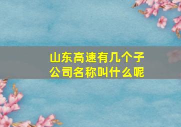 山东高速有几个子公司名称叫什么呢