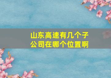 山东高速有几个子公司在哪个位置啊