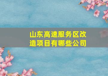 山东高速服务区改造项目有哪些公司