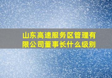 山东高速服务区管理有限公司董事长什么级别