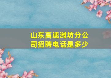 山东高速潍坊分公司招聘电话是多少