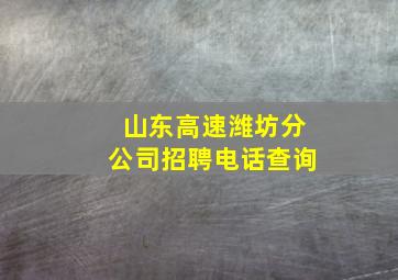 山东高速潍坊分公司招聘电话查询