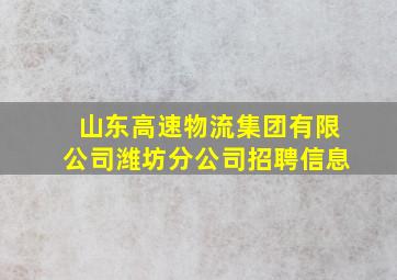 山东高速物流集团有限公司潍坊分公司招聘信息