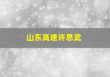 山东高速许思武