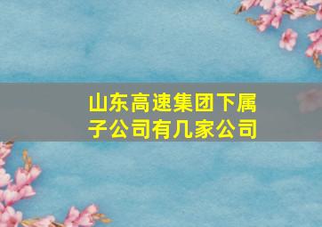 山东高速集团下属子公司有几家公司