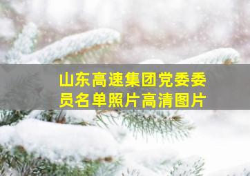 山东高速集团党委委员名单照片高清图片