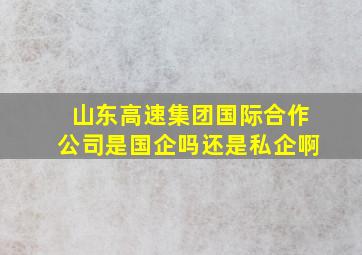 山东高速集团国际合作公司是国企吗还是私企啊