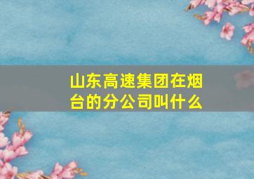 山东高速集团在烟台的分公司叫什么