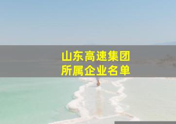 山东高速集团所属企业名单