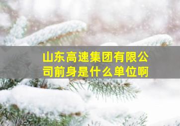 山东高速集团有限公司前身是什么单位啊