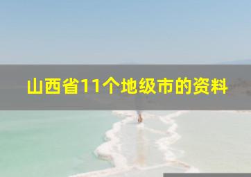 山西省11个地级市的资料