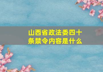 山西省政法委四十条禁令内容是什么