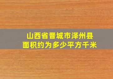 山西省晋城市泽州县面积约为多少平方千米