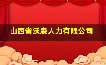 山西省沃森人力有限公司