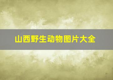 山西野生动物图片大全