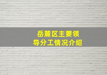 岳麓区主要领导分工情况介绍