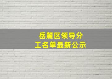 岳麓区领导分工名单最新公示