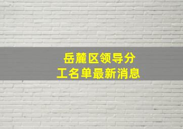 岳麓区领导分工名单最新消息