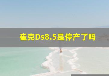 崔克Ds8.5是停产了吗