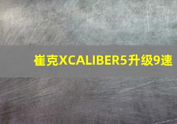 崔克XCALIBER5升级9速